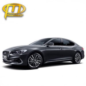 Azera executivo frota MotoristaSP São Paulo