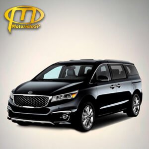 Carnival executivo frota MotoristaSP São Paulo